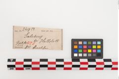 Etiketten zu Perlenkette (NHMW-PRAE-024953)